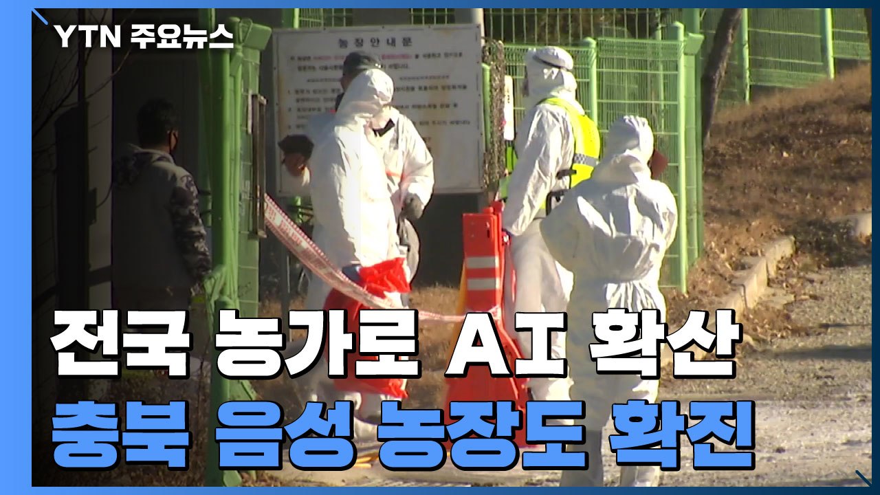 충북 음성 농장에서도 고병원성 AI 확진...전국이 방역 비상 / YTN