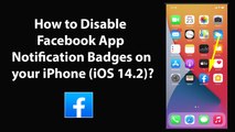 How to Disable Facebook App Notification Badges on your iPhone (iOS 14.2)?