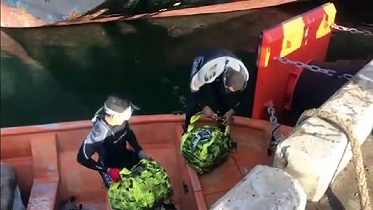 Decomisan cocaína debajo de un barco