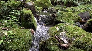 relaxing water sounds   no music   ASMR   nature sounds