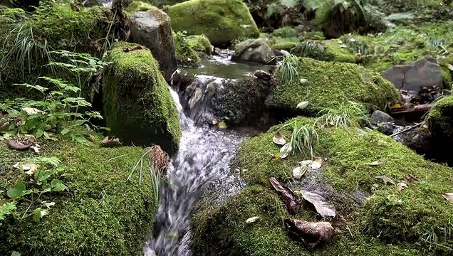 relaxing water sounds no music ASMR nature sounds
