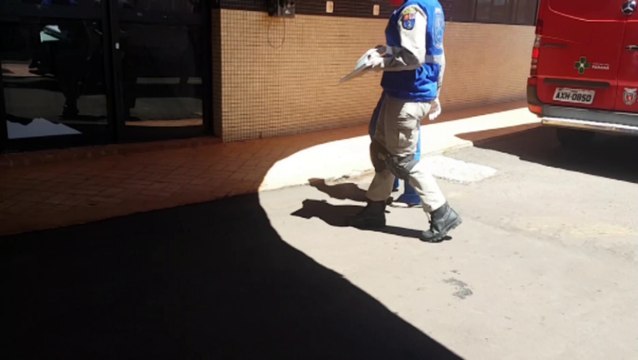 Homem fica ferido ao cair de caminhão no Pioneiros Catarinenses