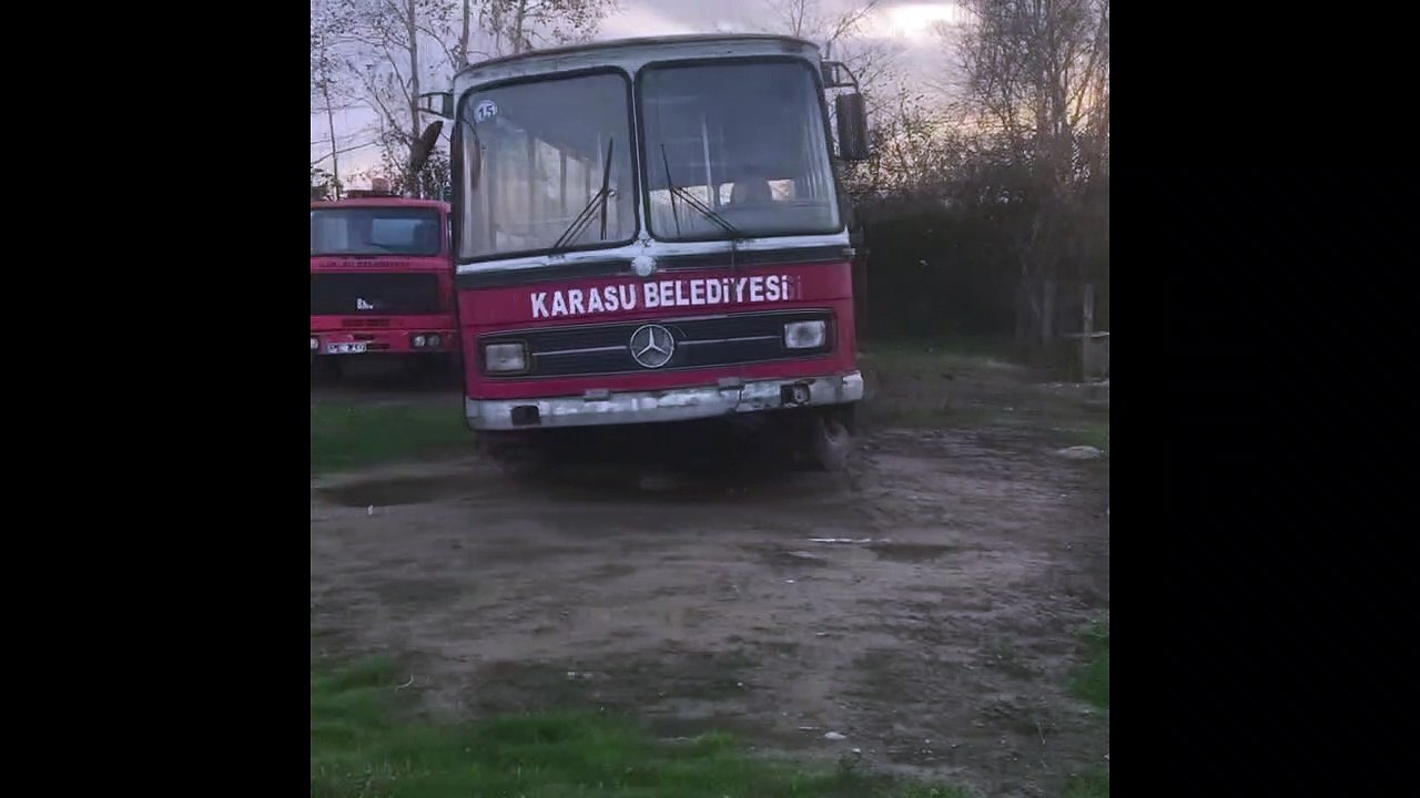 KÖPEKLER AÇLIKTAN BİRBİRİNİ YİYOR İDDİASI