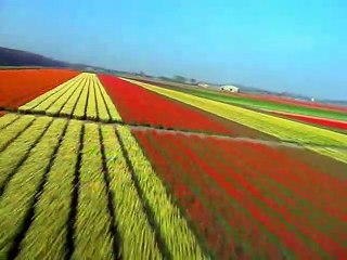 Baby Einstein Classics Season 1 Episode 4 - Baby MacDonald: A Day On the Farm