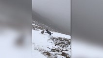 Dogs enjoy a snow day on Harter Fell in England