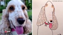 These Funny Pet Drawings Raise Over $45,000
