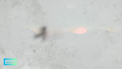 Tale of The Nine Tailed  Behind The Scenes [SUB INDO] CC