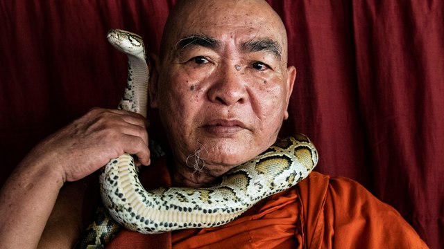 Snake sanctuary at monastery in Myanmar is how Buddhist monk is saving reptiles from smugglers