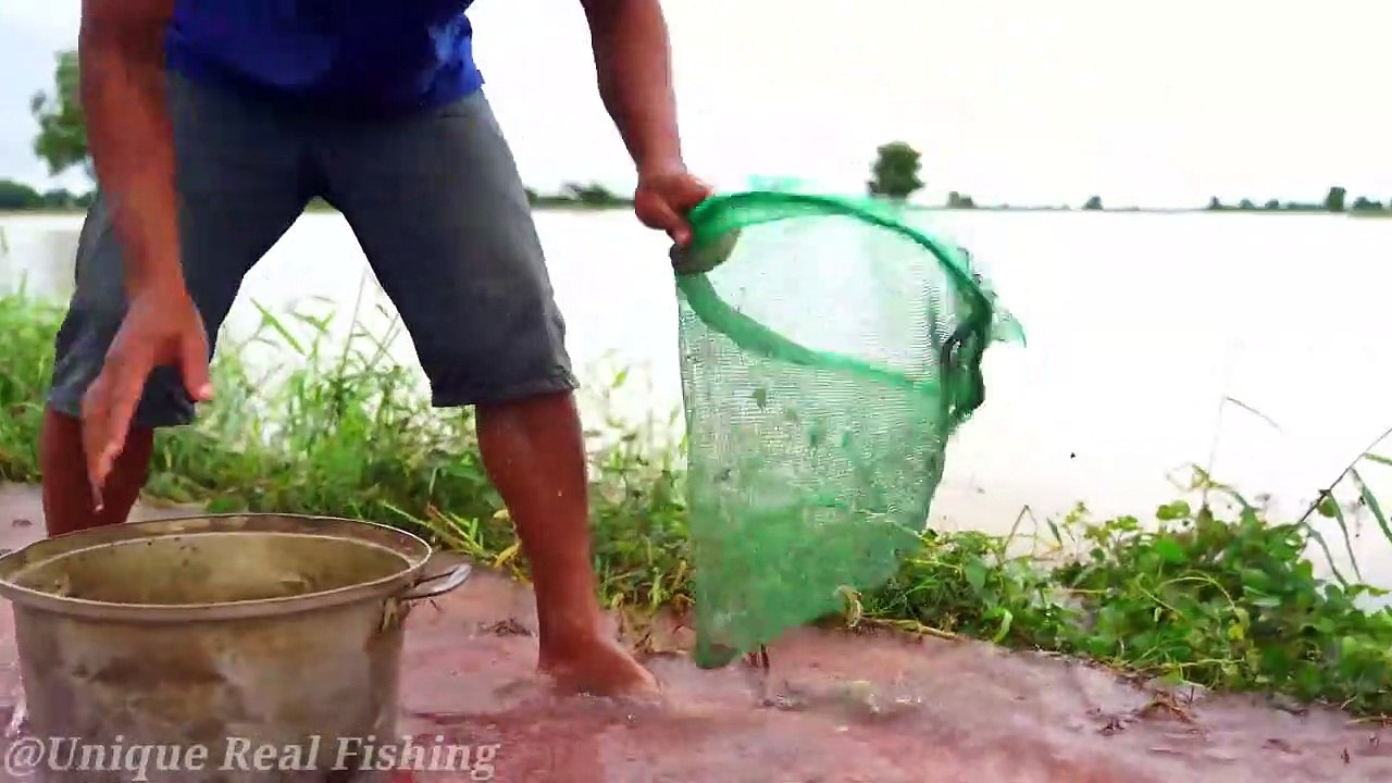 Amazing Fishing on The Road Flooded 2020 - Search & Catch Catfish & Copper Fish