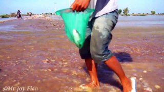 Best Catching Copper Fish & Catfish Under Clear Water - Fishing on The Road Floo