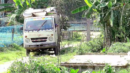 REAKSI LELE LIAR SETELAH DI BERI PAKAN INI… Wild Catfish Reaction after in givin