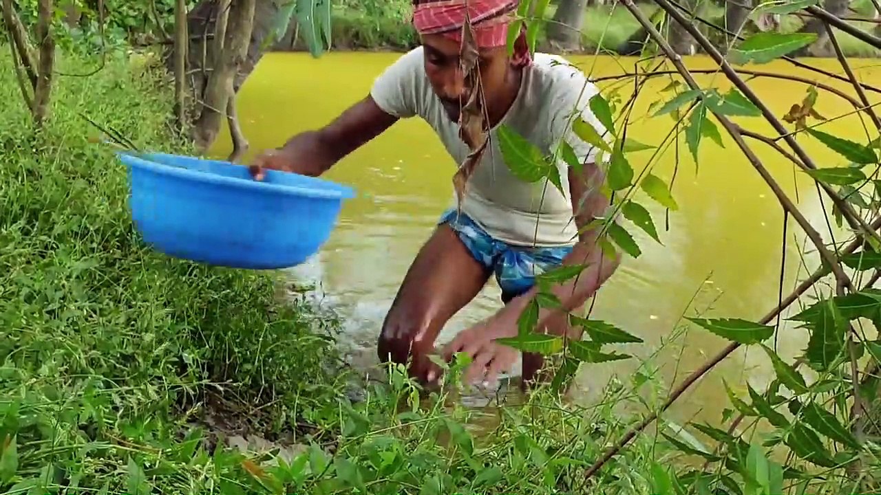 Unique Hunting Style _ Best Fishing With Hen Heads_Beautiful Fish Catching Exper
