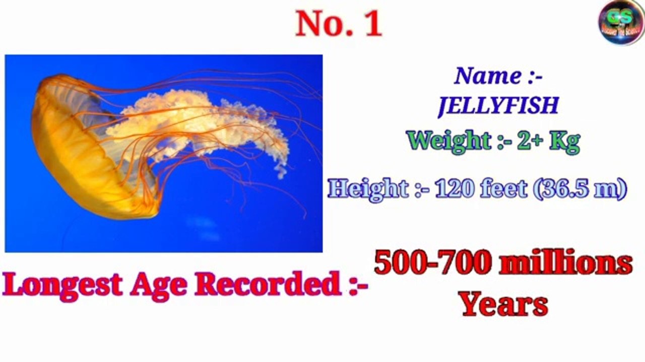 Top_10_Longest_Living_Animals_And_Creatures_In_The_World_Fully_Explained_By_Discover_The_Science