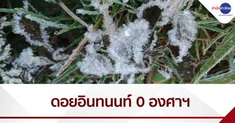 ดอยอินทนนท์ หนาวสุดขั้ว 0 องศาฯ