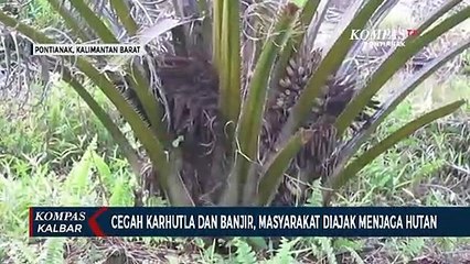 Pontianak Institute Ajak Masyarakat Jaga Hutan untuk Cegah Banjir dan Karhutla