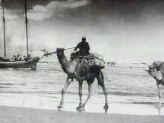 Archives de Palestine... Et le temps passe..(1)