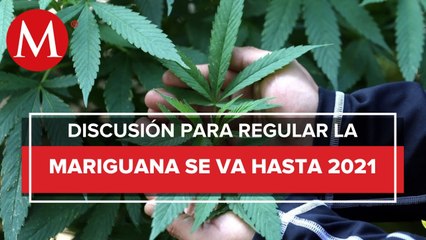 Aplazan hasta 2021 discusión sobre regulación de mariguana