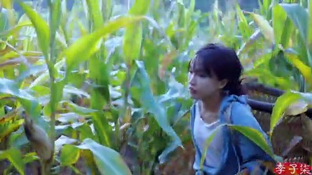 Temporada dorada, llena de cosechas y maíz dulce