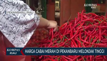 Harga Cabai Merah Di Pekanbaru Melonjak Tinggi