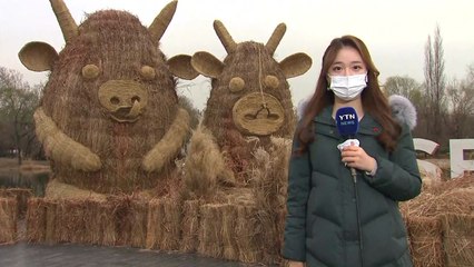 [날씨] 밤사이 서울 첫눈 가능성...주말까지 큰 추위 없어 / YTN