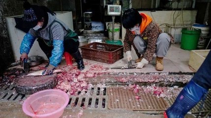 Vuhan hayvan pazarı tekrar açıldı!