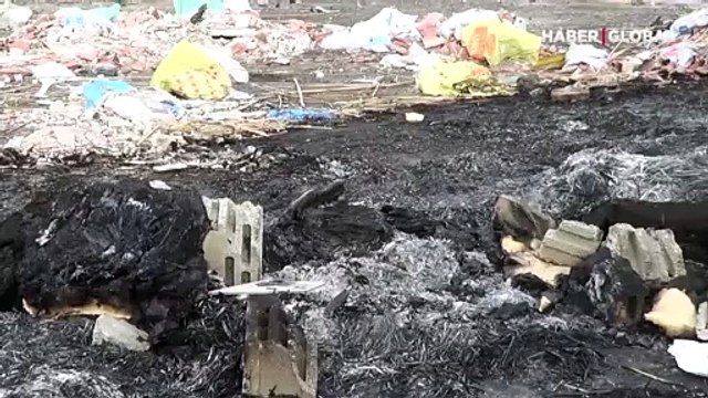 Konya'da kulübeleri yakılarak öldürülmüş 9 yavru köpek bulundu