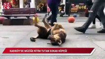 Kadıköy’de müziğe ritim tutan sokak köpeği renkli görüntüler oluşturdu