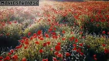 Electro-Light - Where It All Began (feat. Danyka Nadeau)