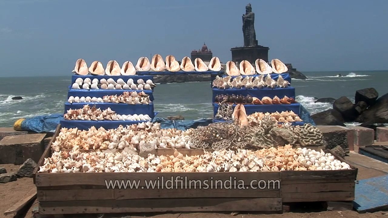 He sells sea shells on the Tamil Nadu shore