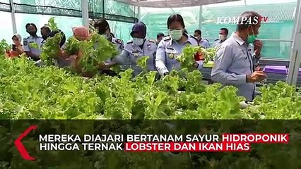 Warga Binaan Pontianak Mampu Hasilkan 31 Juta PBB Untuk Negara