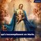 Le bleu, couleur de la Vierge Marie : un choix pas anodin
