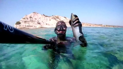 Spearfishing Grey Mullet / Zıpkınla Kefal Avı