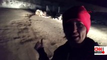 İlçe merkezine inen ayı ve yavrularıyla selfie | Video