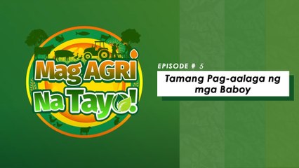 "TAMANG PAG-AALAGA NG MGA BABOY" Mag-Agri Na Tayo! Ep-5