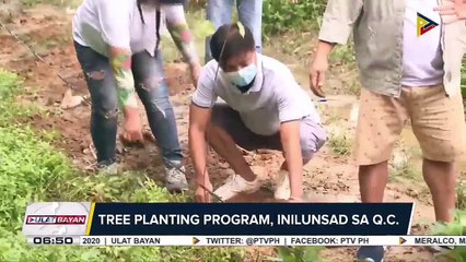 #UlatBayan | GOVERNMENT AT WORK: Tree planting program, inilunsad sa QC