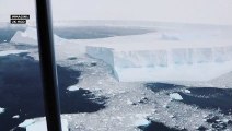 L'iceberg più grande del mondo minaccia la Georgia del Sud