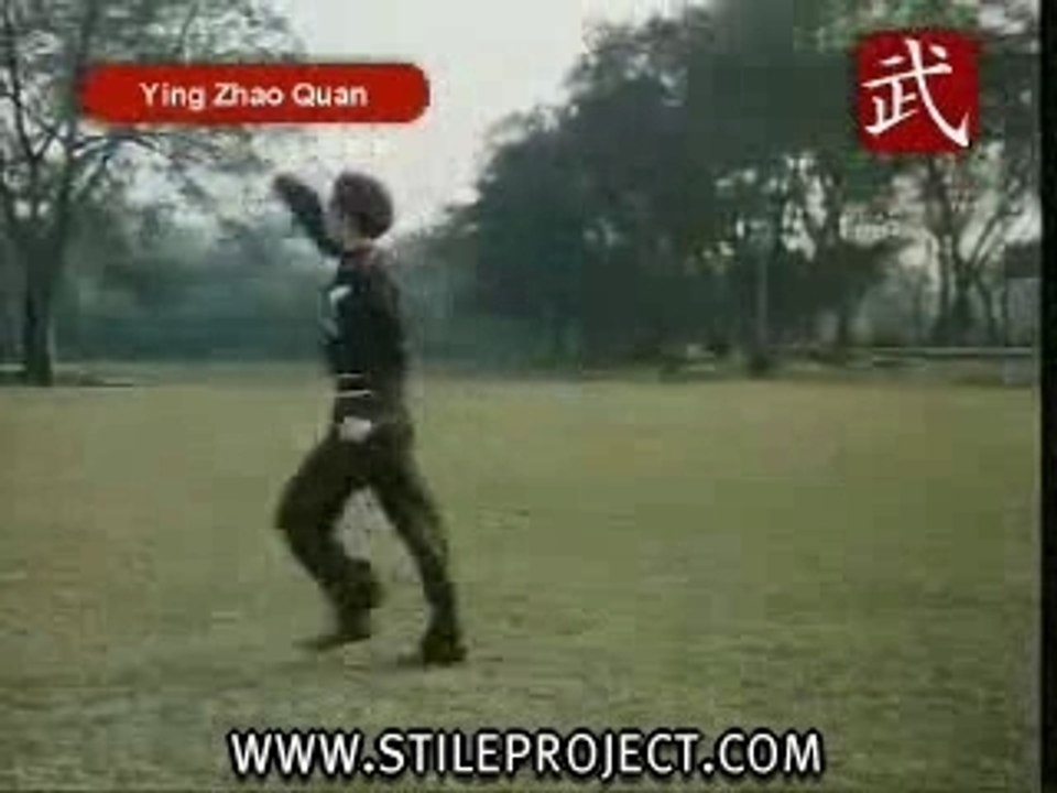 Martial Arts - Shaolin Kung Fu - Eagle Claw Style