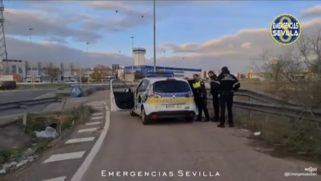 Detenido en Sevilla un hombre que agredió a su...