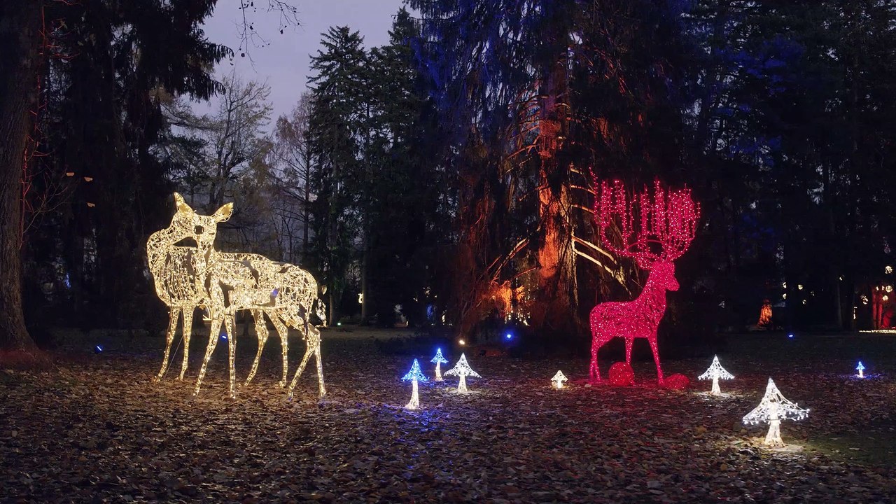 „Lumagica“: Magische Lichtspiele im Innsbrucker Hofgarten