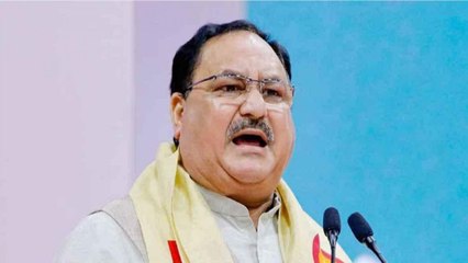 Here's what JP Nadda said about political killings in Bengal