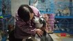 Çinli kadın evinde 1300 köpekle yaşıyor