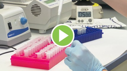 Un análisis muestra que la vacuna de Oxford es eficaz y previene casos graves de COVID-19