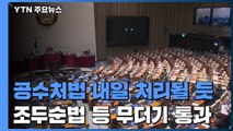 공수처법 내일 처리...조두순 감시법 등 비쟁점 우선 통과 / YTN