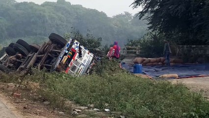 तेज रफ्तार धान से भरा ट्रक खाई में गिरा, चालक घायल