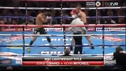 Jorge Linares Vs Kevin Mitchell Highlights