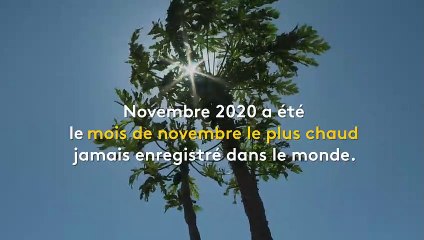 Climat : l'année 2020 parmi les plus chaudes malgré le phénomène "La Niña"