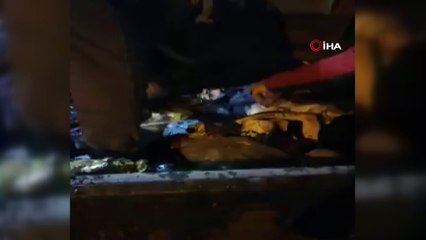 Iğdır'da çuval içinde çöpe atılan kedi son anda fark edildi