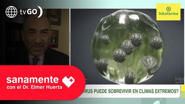 ¿El Covid puede sobrevivir a climas extremos? | Sanamente con el Doctor Elmer Huerta (HOY)