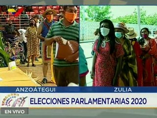 Alcalde Daniel Aros: 22 comunidades indígenas  del municipio Freites participan en la elección de diputado  a la AN