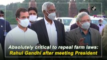 Absolutely critical to repeal farm laws: Rahul Gandhi after meeting President